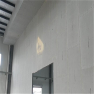 青川宁波ALC板|EPS加气板隔墙与混凝土整浇联接的实验研讨